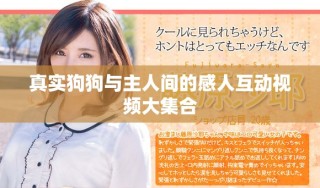 真實(shí)狗狗與主人間的感人互動視頻大集合
