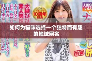 如何為貓咪選擇一個獨特而有趣的地域網(wǎng)名