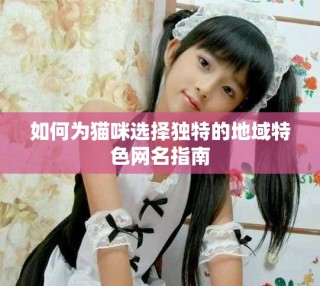 如何為貓咪選擇獨特的地域特色網(wǎng)名指南