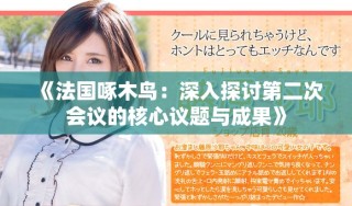 《法國(guó)啄木鳥：深入探討第二次會(huì)議的核心議題與成果》