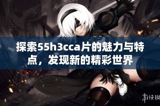 探索55h3cca片的魅力與特點(diǎn)，發(fā)現(xiàn)新的精彩世界