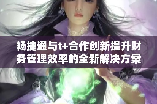暢捷通與t+合作創(chuàng)新提升財(cái)務(wù)管理效率的全新解決方案