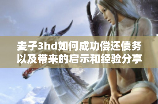 麥子3hd如何成功償還債務(wù)以及帶來的啟示和經(jīng)驗(yàn)分享