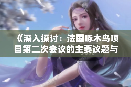 《深入探討：法國(guó)啄木鳥項(xiàng)目第二次會(huì)議的主要議題與成果》