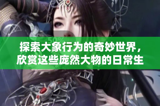 探索大象行為的奇妙世界，欣賞這些龐然大物的日常生活錄像