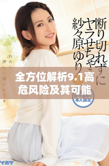 全方位解析9.1高危風險及其可能帶來的影響與應對策略