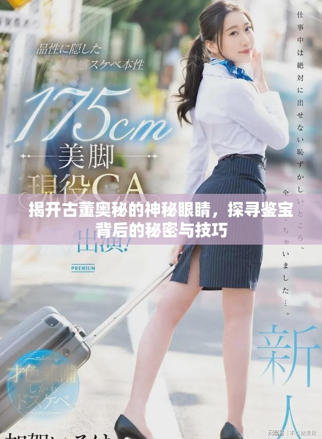 揭開古董奧秘的神秘眼睛，探尋鑒寶背后的秘密與技巧