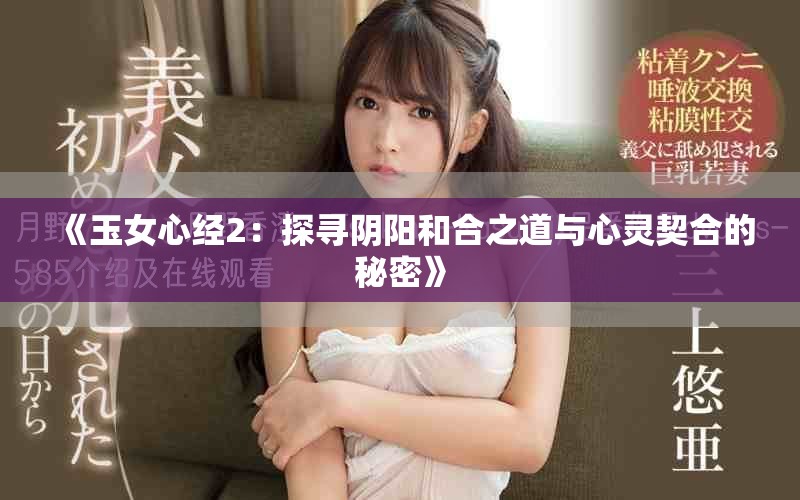 《玉女心經(jīng)2：探尋陰陽和合之道與心靈契合的秘密》