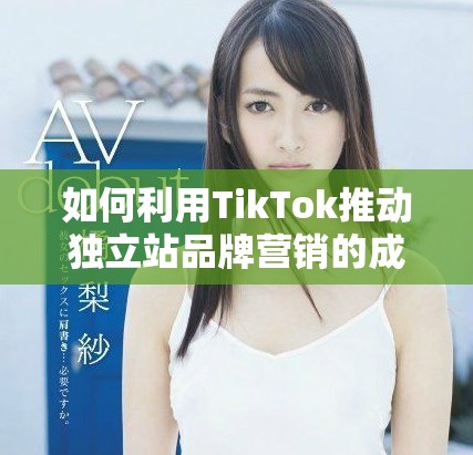 如何利用TikTok推動獨立站品牌營銷的成功之路
