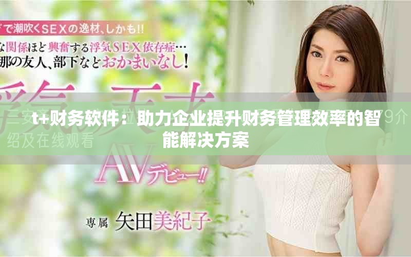 t+財務軟件：助力企業(yè)提升財務管理效率的智能解決方案