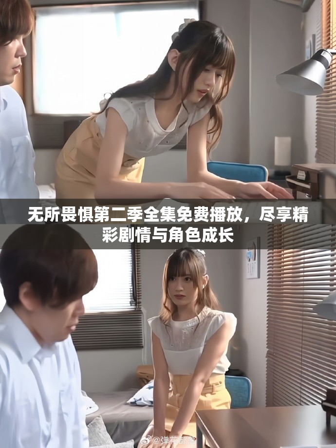 無所畏懼第二季全集免費(fèi)播放，盡享精彩劇情與角色成長