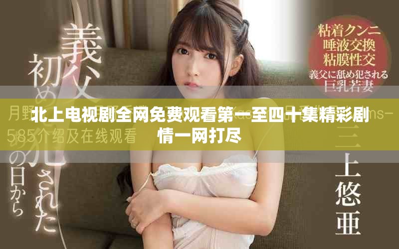 北上電視劇全網(wǎng)免費(fèi)觀看第一至四十集精彩劇情一網(wǎng)打盡