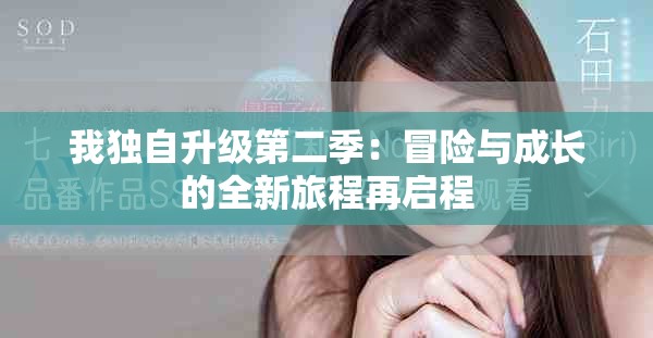 我獨(dú)自升級(jí)第二季：冒險(xiǎn)與成長(zhǎng)的全新旅程再啟程
