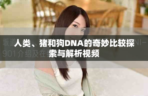 人類、豬和狗DNA的奇妙比較探索與解析視頻