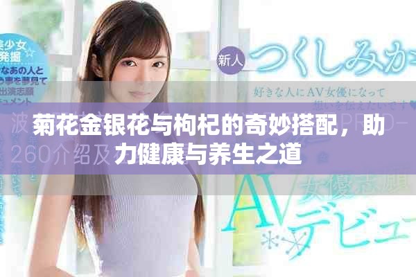 菊花金銀花與枸杞的奇妙搭配，助力健康與養(yǎng)生之道