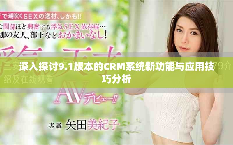 深入探討9.1版本的CRM系統(tǒng)新功能與應(yīng)用技巧分析