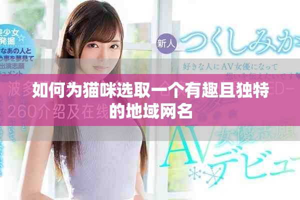 如何為貓咪選取一個有趣且獨(dú)特的地域網(wǎng)名