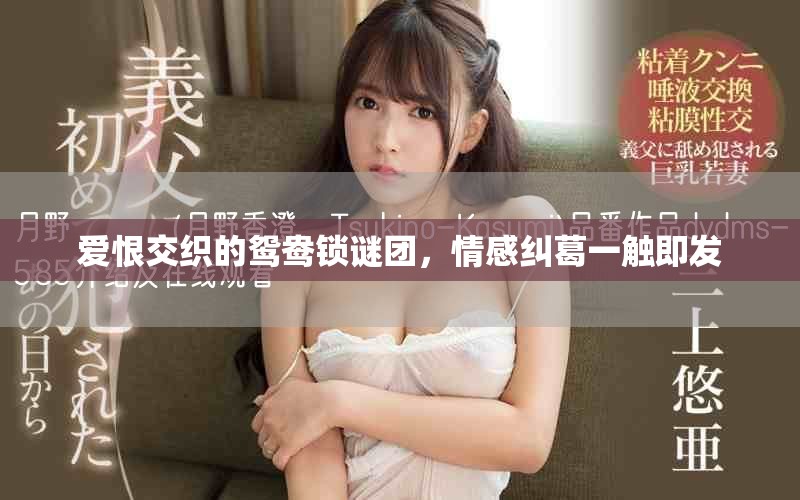 愛恨交織的鴛鴦鎖謎團，情感糾葛一觸即發(fā)