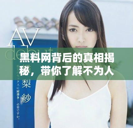 黑料網(wǎng)背后的真相揭秘，帶你了解不為人知的內(nèi)幕故事