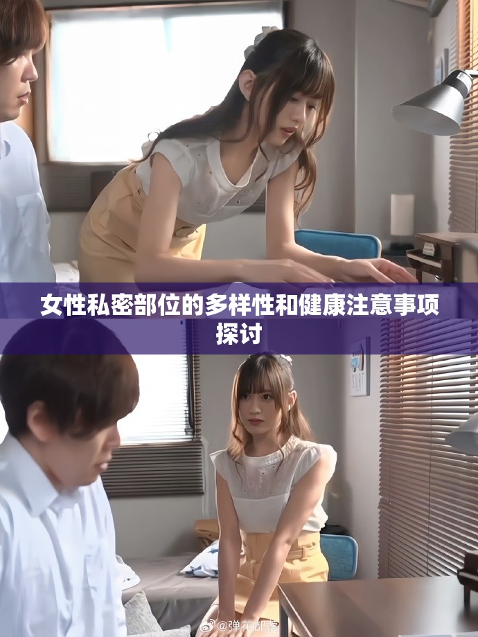 女性私密部位的多樣性和健康注意事項(xiàng)探討