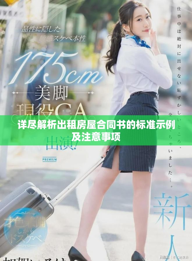 詳盡解析出租房屋合同書的標準示例及注意事項