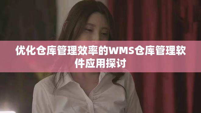 優(yōu)化倉庫管理效率的WMS倉庫管理軟件應(yīng)用探討