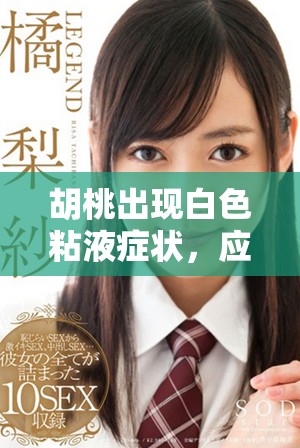 胡桃出現(xiàn)白色粘液癥狀，應(yīng)該如何處理和應(yīng)對