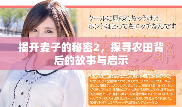 揭開麥子的秘密2，探尋農(nóng)田背后的故事與啟示