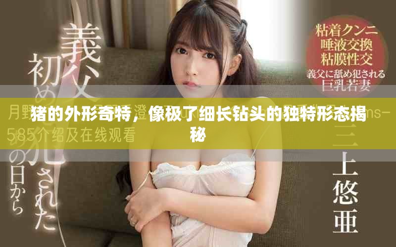 豬的外形奇特，像極了細(xì)長(zhǎng)鉆頭的獨(dú)特形態(tài)揭秘