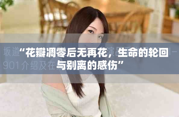 “花瓣凋零后無(wú)再花，生命的輪回與別離的感傷”