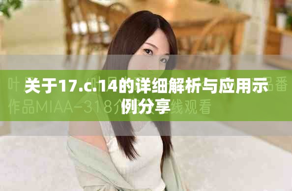 關(guān)于17.c.14的詳細(xì)解析與應(yīng)用示例分享