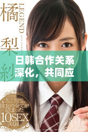 日韓合作關(guān)系深化，共同應(yīng)對全球挑戰(zhàn)與機(jī)遇
