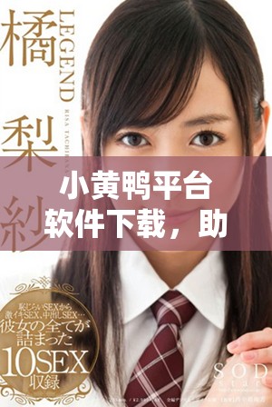 小黃鴨平臺軟件下載，助你高效防范風(fēng)險(xiǎn)安全問題