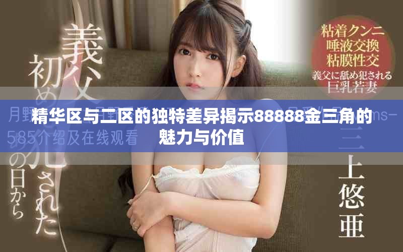 精華區(qū)與二區(qū)的獨(dú)特差異揭示88888金三角的魅力與價值