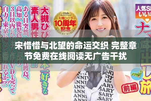宋惜惜與北望的命運(yùn)交織 完整章節(jié)免費(fèi)在線閱讀無廣告干擾