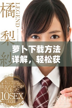 蘿卜下載方法詳解，輕松獲取你想要的應(yīng)用