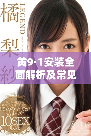 黃9·1安裝全面解析及常見(jiàn)問(wèn)題解決方案詳解
