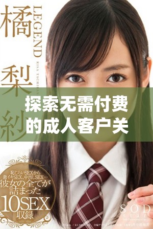 探索無需付費的成人客戶關(guān)系管理系統(tǒng)的優(yōu)勢與功能