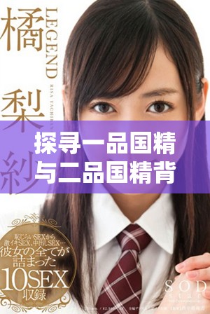 探尋一品國精與二品國精背后的文化內(nèi)涵與象征意義