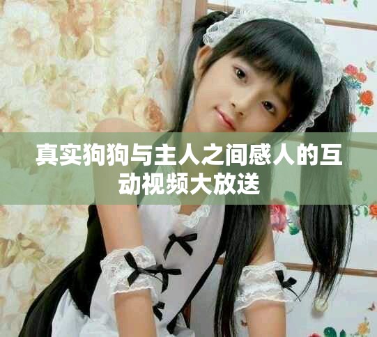 真實(shí)狗狗與主人之間感人的互動(dòng)視頻大放送