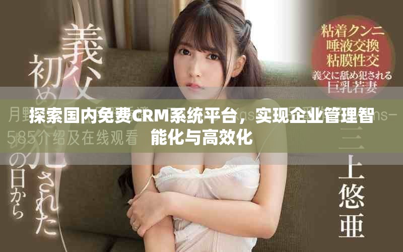 探索國內(nèi)免費CRM系統(tǒng)平臺，實現(xiàn)企業(yè)管理智能化與高效化