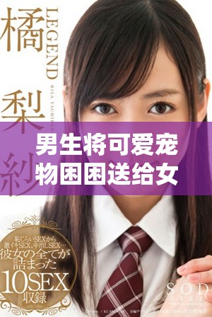 男生將可愛寵物困困送給女生引發(fā)暖心瞬間視頻分享