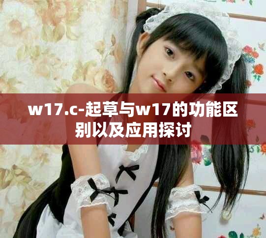 w17.c-起草與w17的功能區(qū)別以及應(yīng)用探討