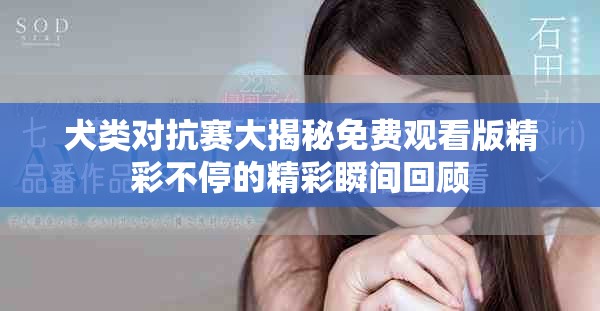 犬類對抗賽大揭秘免費觀看版精彩不停的精彩瞬間回顧