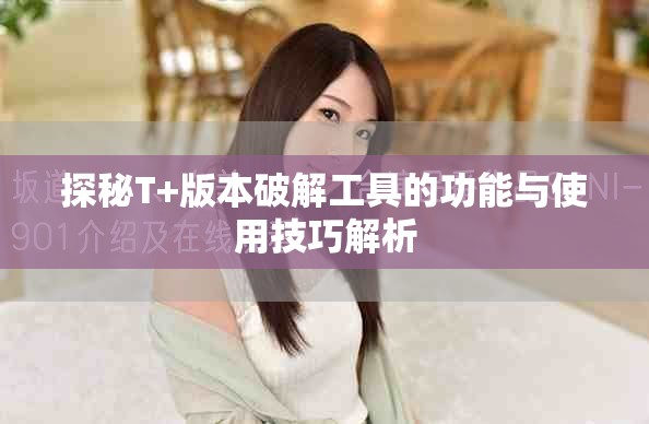 探秘T+版本破解工具的功能與使用技巧解析
