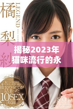揭秘2023年貓咪流行的永久地域網(wǎng)名有哪些