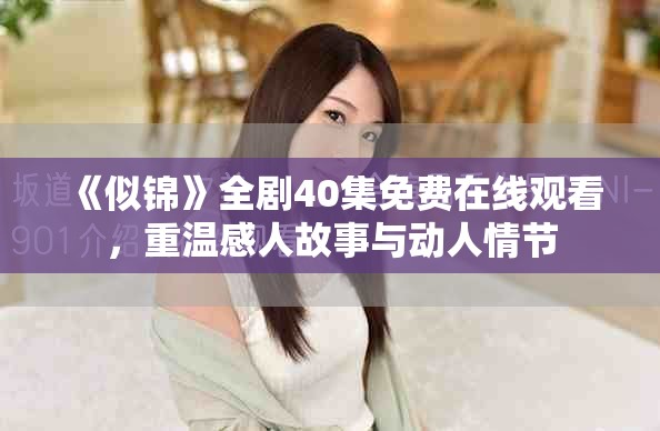 《似錦》全劇40集免費在線觀看，重溫感人故事與動人情節(jié)