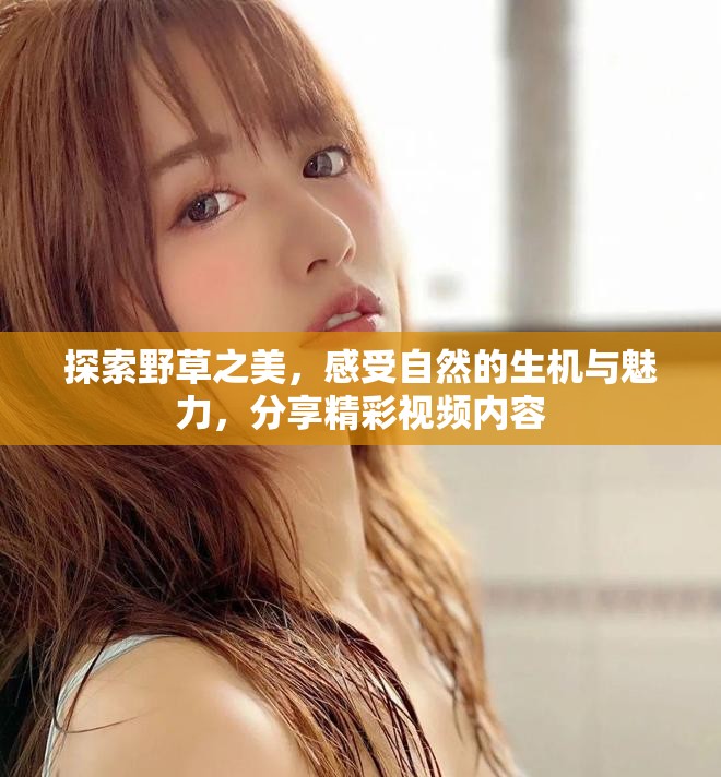 探索野草之美，感受自然的生機與魅力，分享精彩視頻內(nèi)容