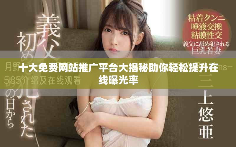 十大免費網(wǎng)站推廣平臺大揭秘助你輕松提升在線曝光率