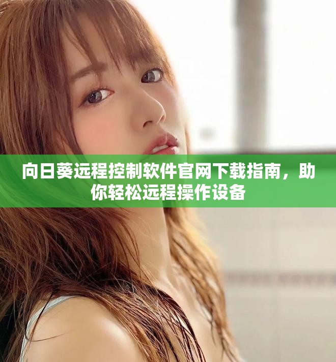 向日葵遠(yuǎn)程控制軟件官網(wǎng)下載指南，助你輕松遠(yuǎn)程操作設(shè)備